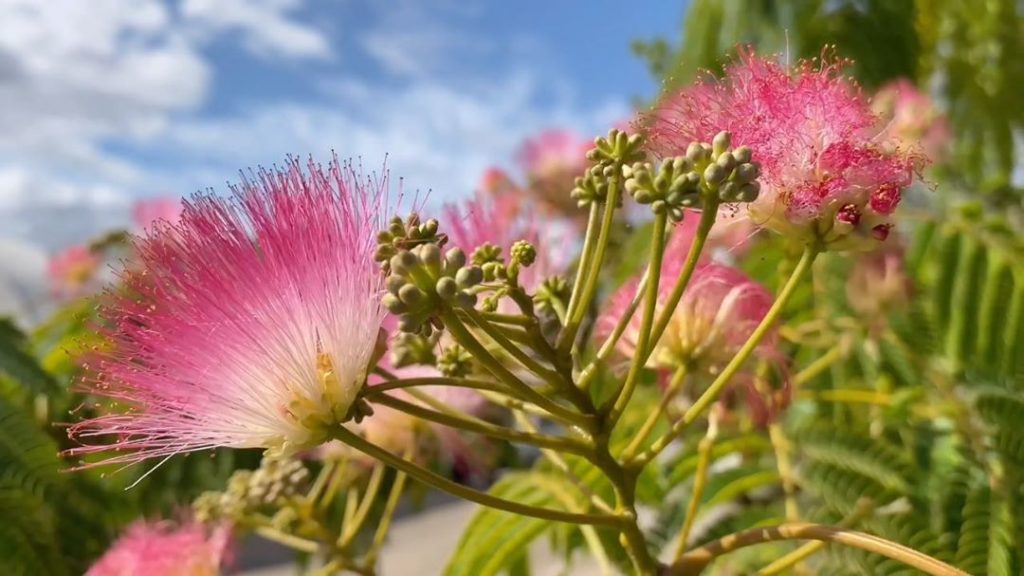 #Fun #Facts #Friday...