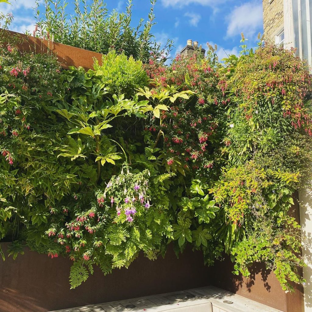 tommasseyuk: I love this living wall by @tapestryverticalgardens installed in Richmond in 2… I love this living wall by @tapestry_vertical_gardens installed in Richmond in 2...