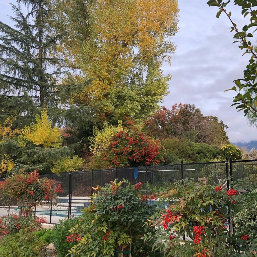 gardendesignmag: Share you garden plans for fall! In the upcoming couple of months is the time to… Share you garden plans for fall! In the upcoming couple of months is the time to...