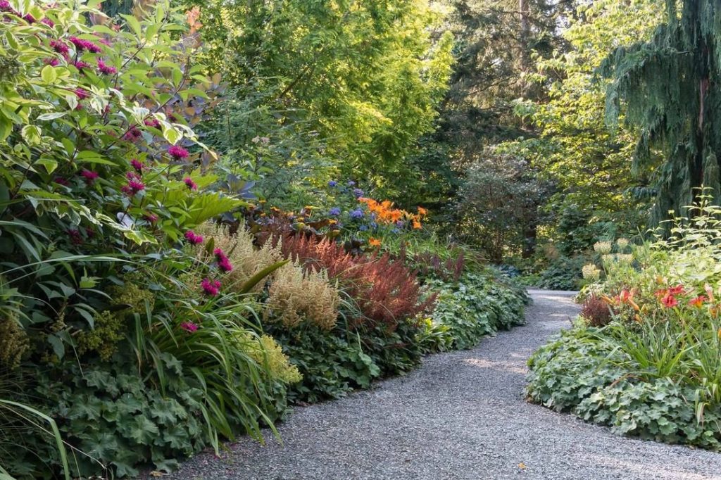 What region are you (and your garden) in?
.
Pacific Northwest
Northern Californi...