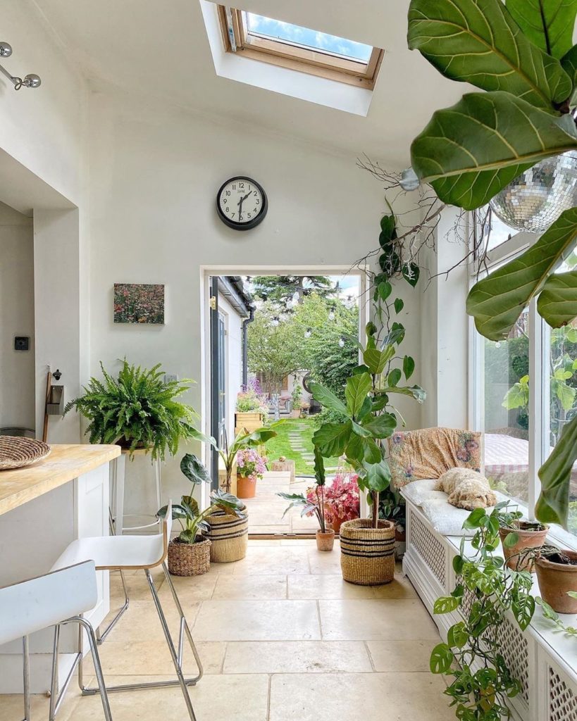 Time to start putting plants by the doorway so I'm greeted by plants every time ...