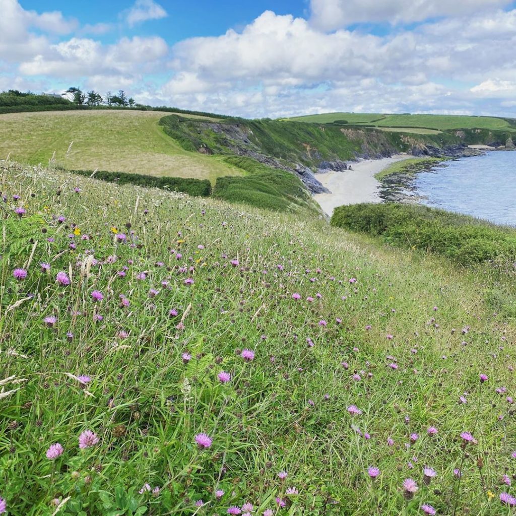 Cornish costal walks always full of inspiration - so much Texture colour and int...