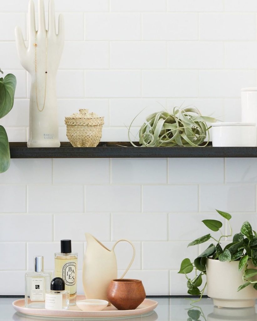thesill: If you have a home filled with pets, the Xerographica Air Plant is an easy addit… If you have a home filled with pets, the Xerographica Air Plant is an easy addit...