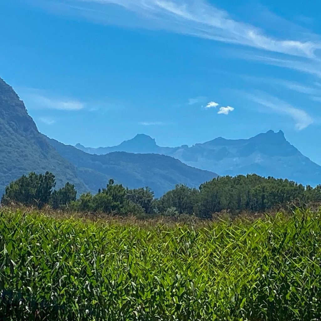 This is the view looking away from Lac Léman just along from Montreux. Lac Léman...