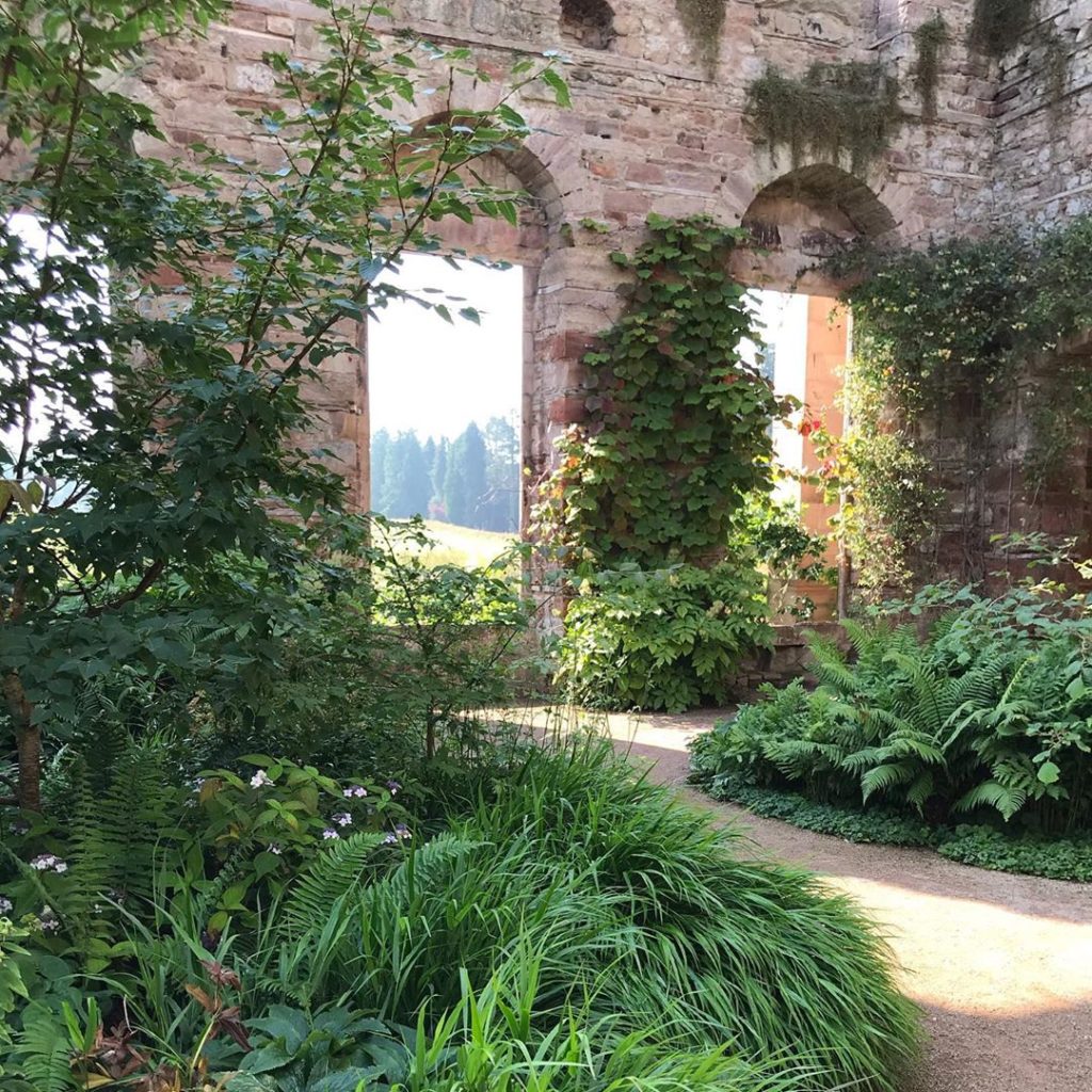 sheilajacklandscapes: Romance in the ruin, Dan Pearson’s @coyotewillow gentle landscape insertion @low… Romance in the ruin, Dan Pearson’s @coyotewillow gentle landscape insertion @low...