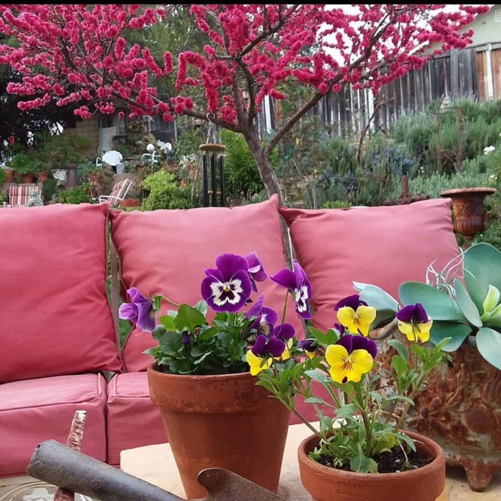 gardendesignmag: We love seeing your container gardens! Use #gdcontainergarden and tag @gardendes… We love seeing your container gardens! Use #gdcontainergarden and tag @gardendes...