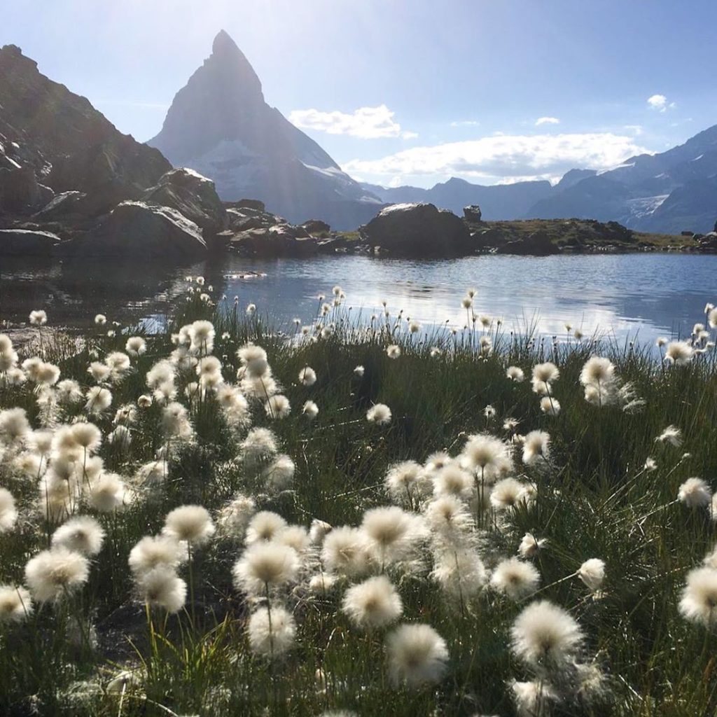 This is Riffelsee, an alpine lake above Zermatt in the canton of Valais, Switzer...