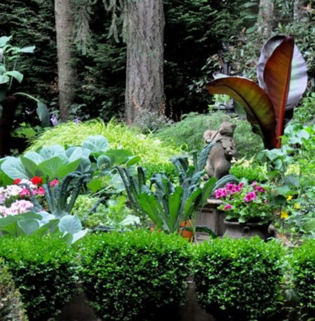 gardendesignmag: What are 3 words do you use to describe your own garden?
.
“serene, peaceful, an… What are 3 words do you use to describe your own garden?
.
“serene, peaceful, an...