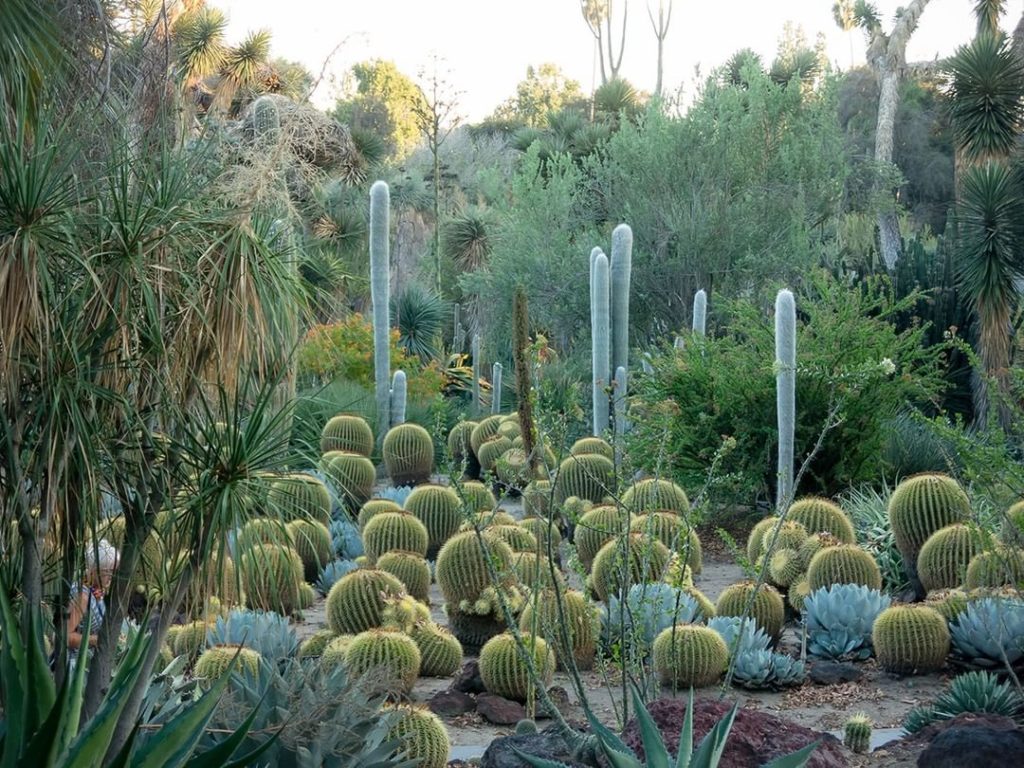 Did you know we have a collection of self-guided day trips so you can explore bo...