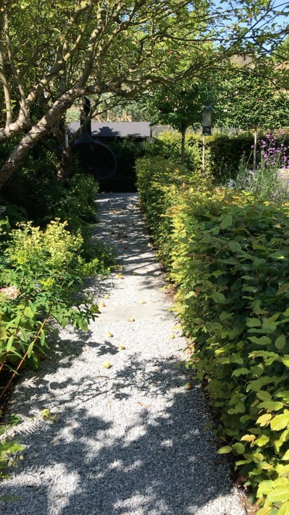 A walk through this garden in its first year at peak summer...