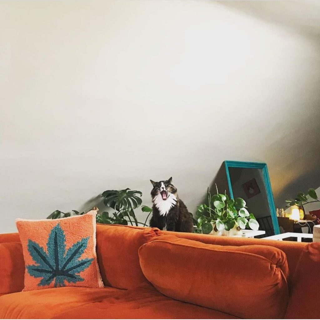 Honestly same,  but at least the Mary Jane pillow is back in stock . Regram from...