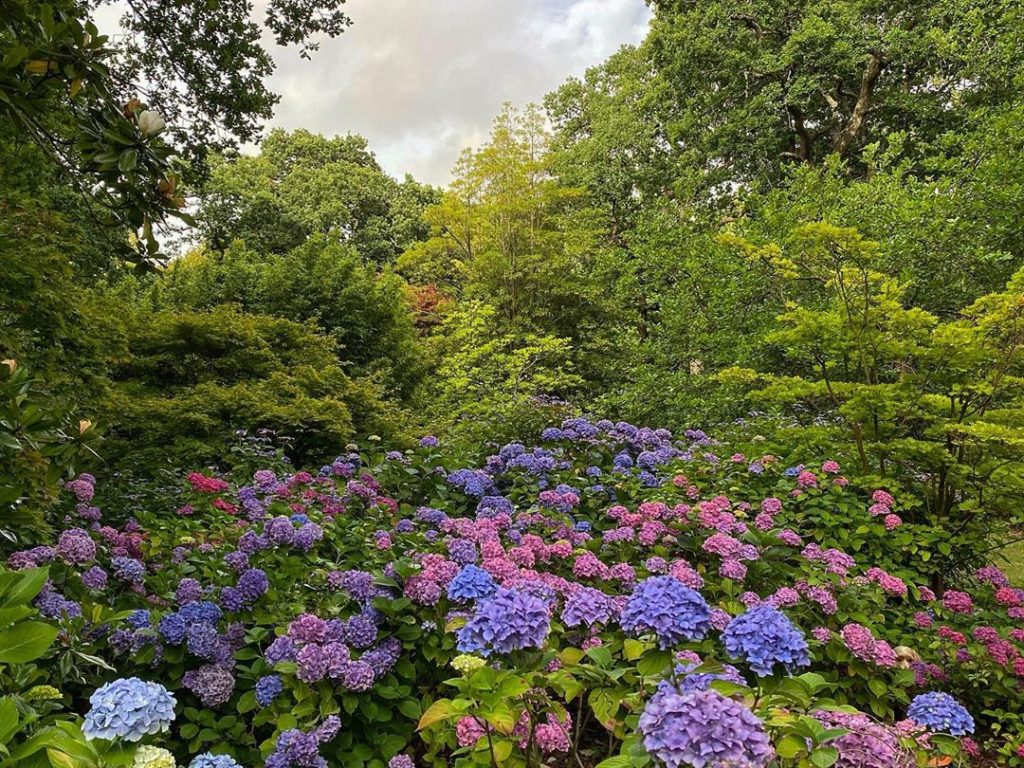 #WheresWillow #Wednesday...