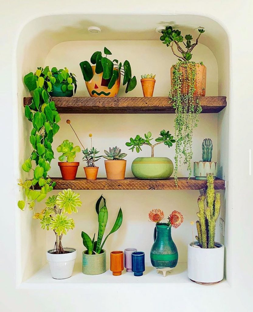 Anyone else having a hard time keeping up with watering their plantsduring this ...