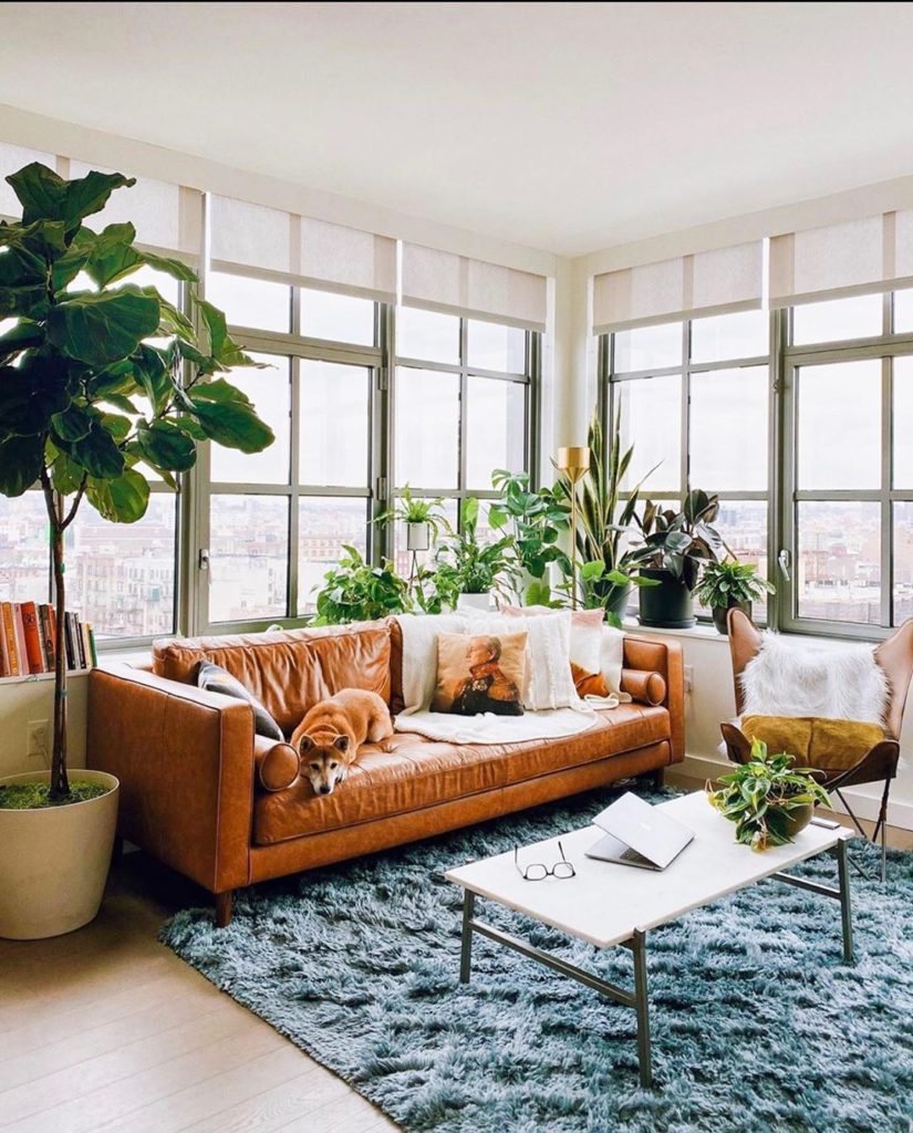 Our Capsia rug designed by @justinablakeney for @loloirugs looks so cozy in the ...