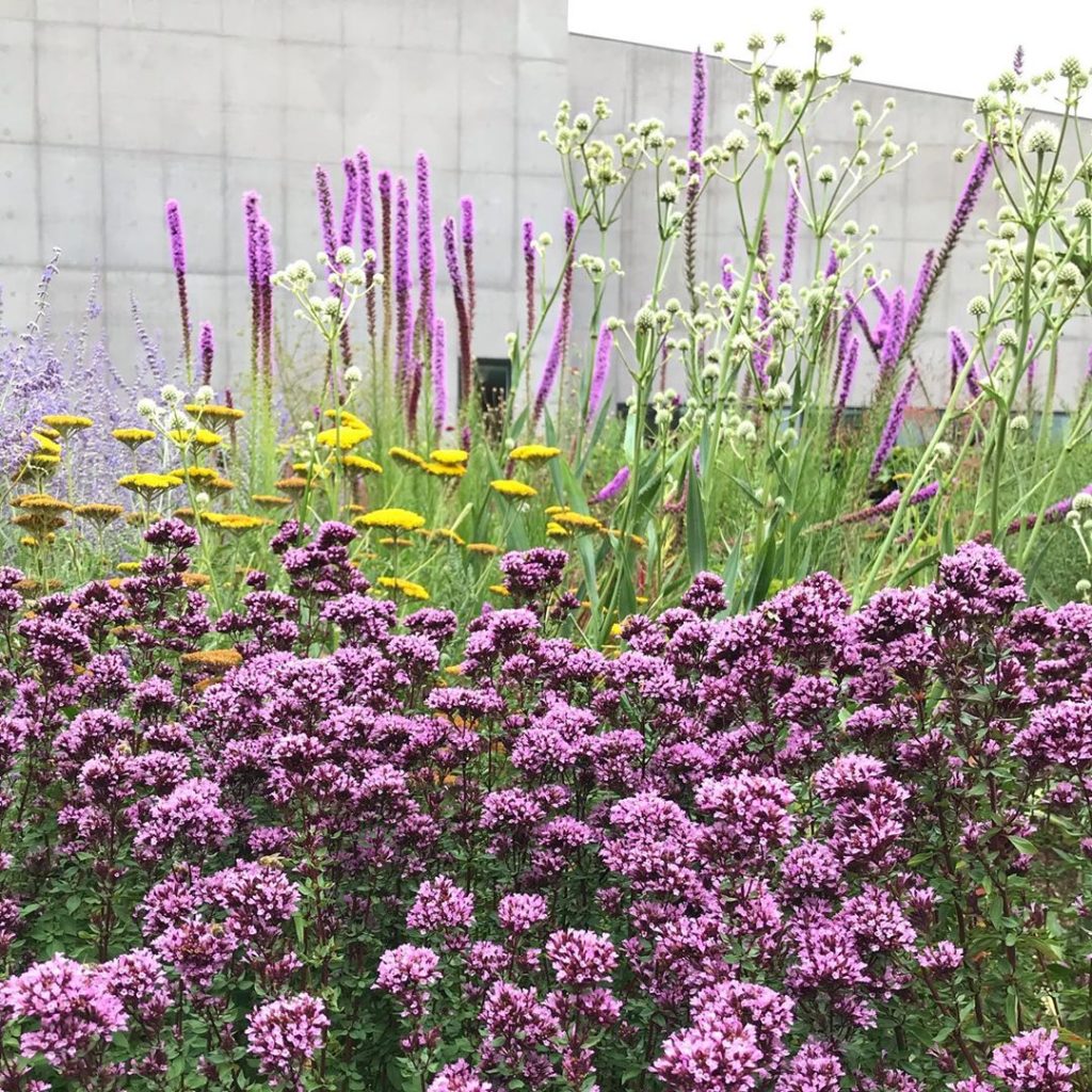 sheilajacklandscapes: Colour + concrete Such dynamic form and uplifting colour in the @hepworthwakefi… Colour + concrete Such dynamic form and uplifting colour in the @hepworthwakefi...