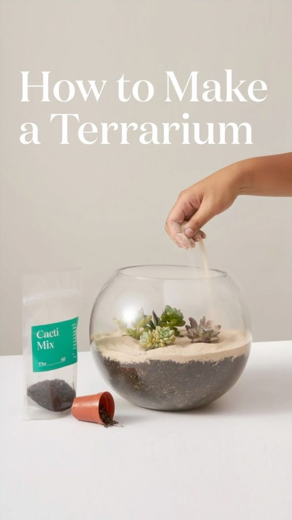 Looking for a DIY weekend plant activity? We've got you covered: follow along fo...