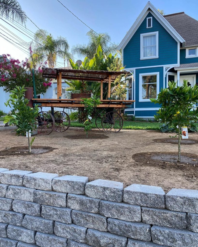 gardendesignmag: This used to be an all grass lawn. Now there’s fruit trees, a neat old fruit car… This used to be an all grass lawn. Now there’s fruit trees, a neat old fruit car...