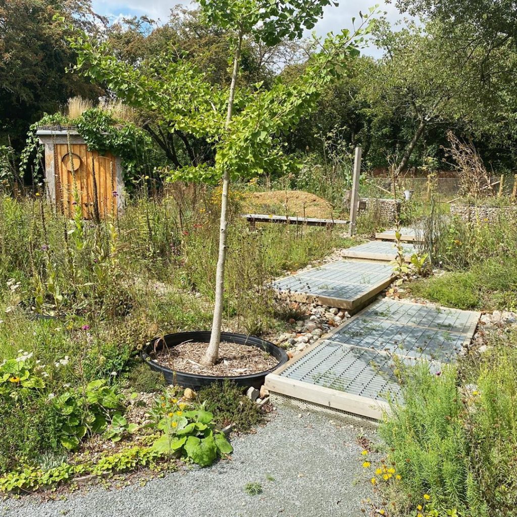 tommasseyuk: Really inspiring visit to the @grassroofco garden in Essex. Inspired by brownfi… Really inspiring visit to the @grassroofco garden in Essex. Inspired by brownfi...