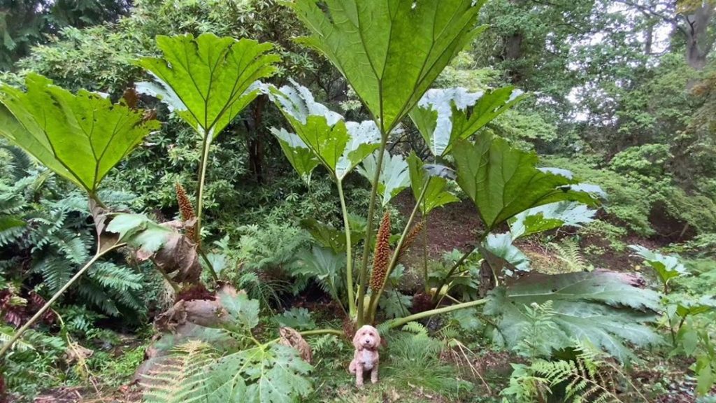 #Fun #facts #Friday...