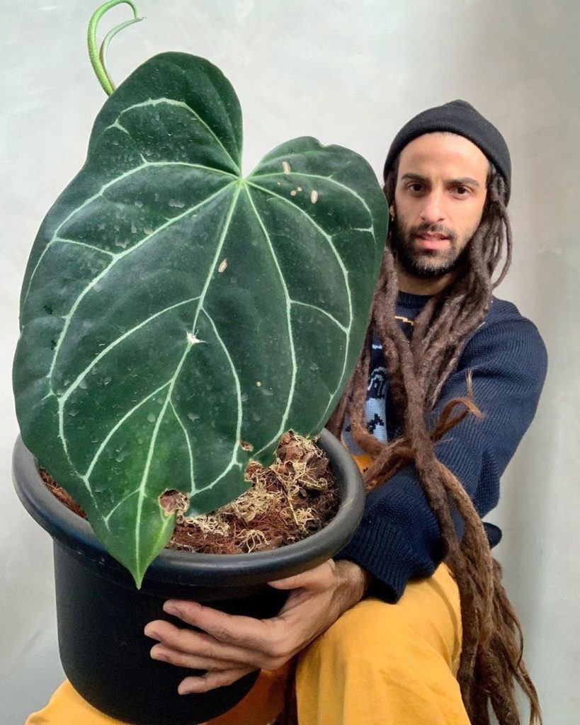 Sometimes, it can be so easy to get caught up in the perfection of your plants. ...