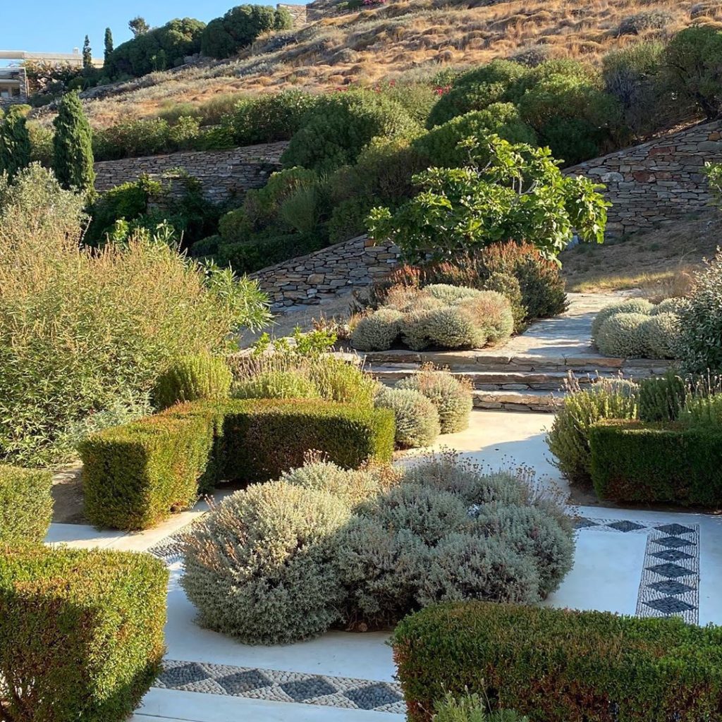 Let’s go for a swim #revisiting #greekgarden #mediterraneangarden #12yearson #no...