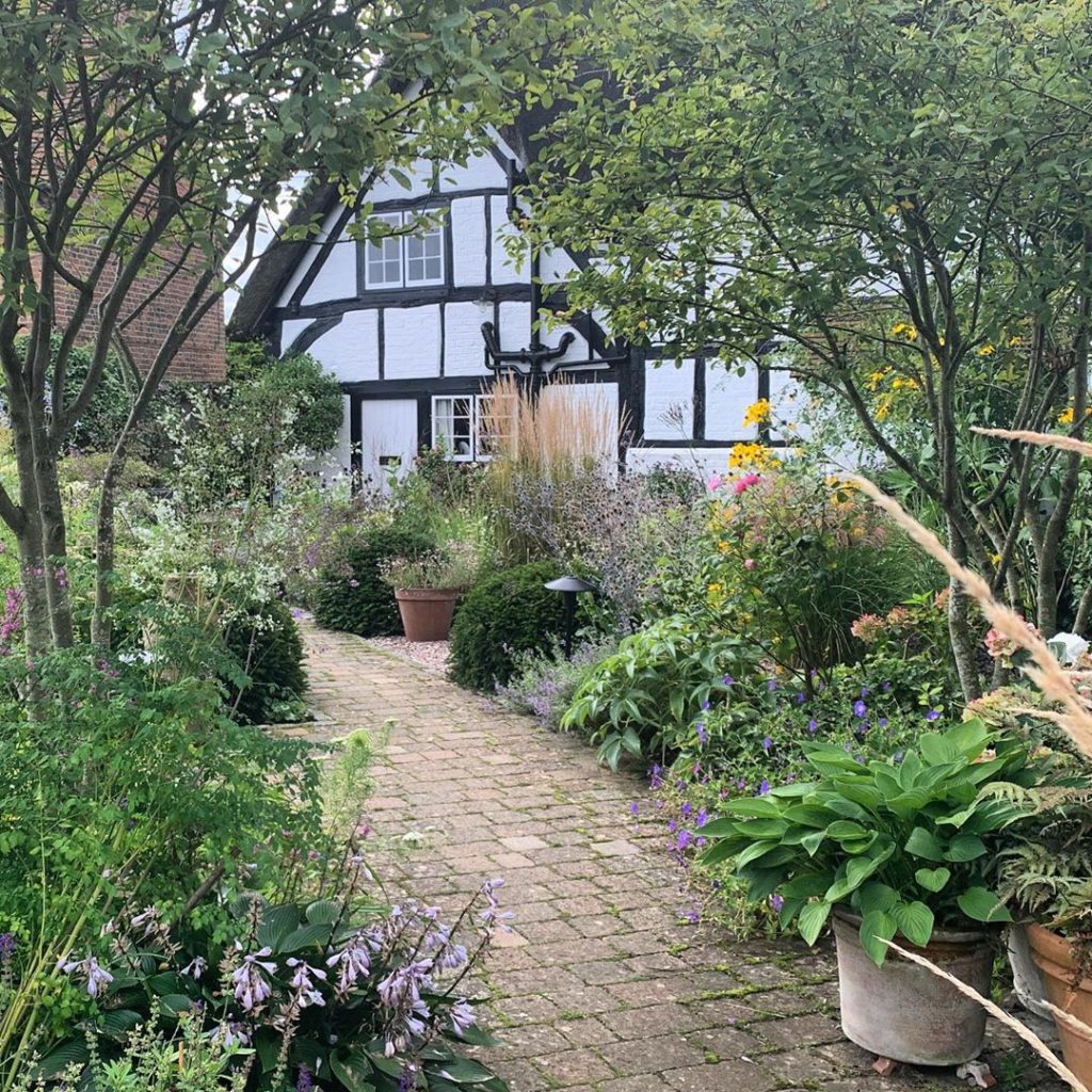 A little bit flattened by the rain but it still makes me smile when I walk throu...