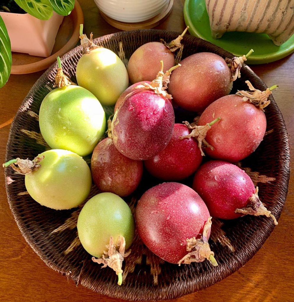 Picked a peck of purpling passionfruits  The scent they bring to the kitchen is ...
