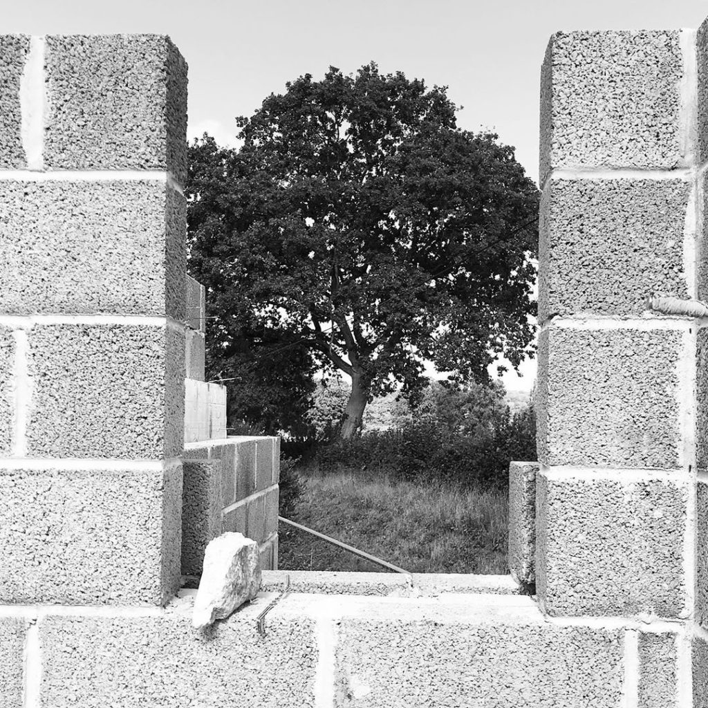 In progress... the beginnings of architecture and ‘borrowed landscape’ working t...