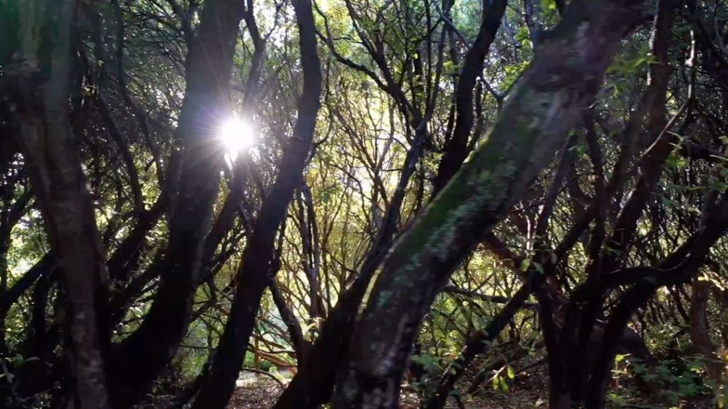 ...and breathe... the calm after......