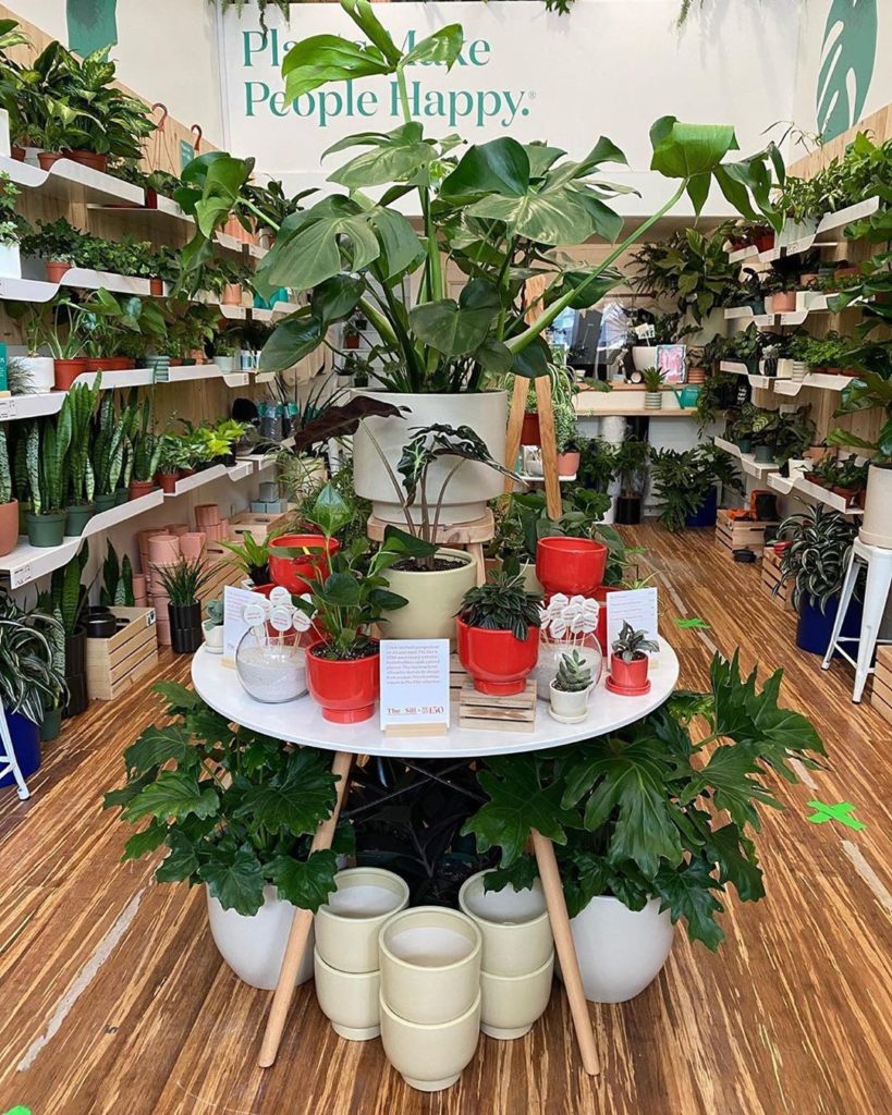 @thesillsf is looking @metmuseum ready  SF Senior Shopkeeper @devvonwalllace bro...