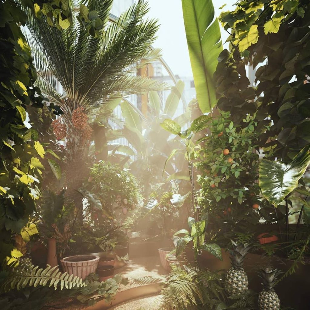 tommasseyuk: Internal view of the HotHouse project – an edible jungle of plants that could po… Internal view of the HotHouse project - an edible jungle of plants that could po...