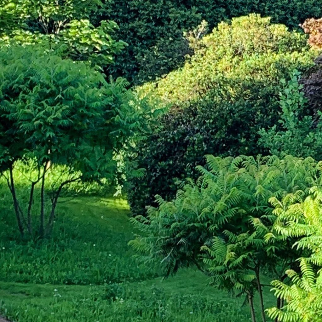 A ‘few’ trees. The beginnings of ‘some’ mown paths. A ‘bit’ of meadow. A MASSIVE...