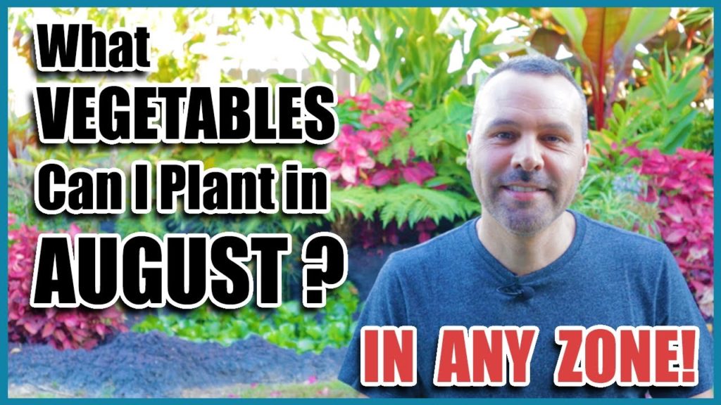 What Vegetables Can I Plant in August?  In ANY ZONE!