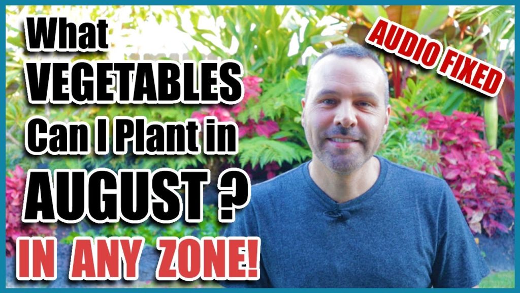 California Garden TV: Audio Fixed  — What Vegetables Can I Plant in August?  In ANY ZONE! Audio Fixed  -- What Vegetables Can I Plant in August?  In ANY ZONE!