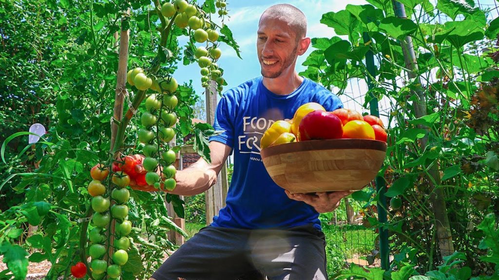 James Prigioni: 8 Years Later, I Converted my NORMAL BACKYARD into a PERMACULTURE GARDEN 8 Years Later, I Converted my NORMAL BACKYARD into a PERMACULTURE GARDEN