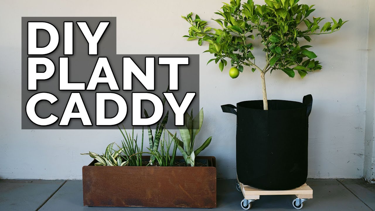 Epic Gardening Build a DIY Plant Caddy for Under 30 All For Gardening