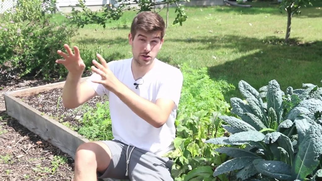 There is NO Alternative to Compost - Why Bagged Soil Should Not Be Used to Start A Garden