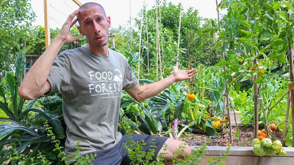James Prigioni: After the Storm, A Disaster Hits the Garden… After the Storm, A Disaster Hits the Garden...