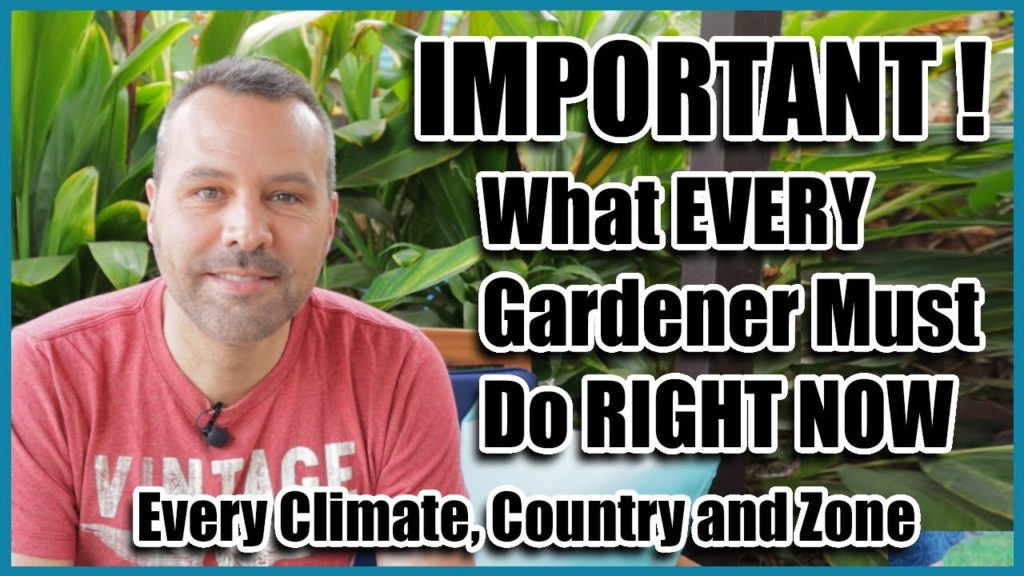 The One Thing EVERY GARDENER Must Do RIGHT NOW!