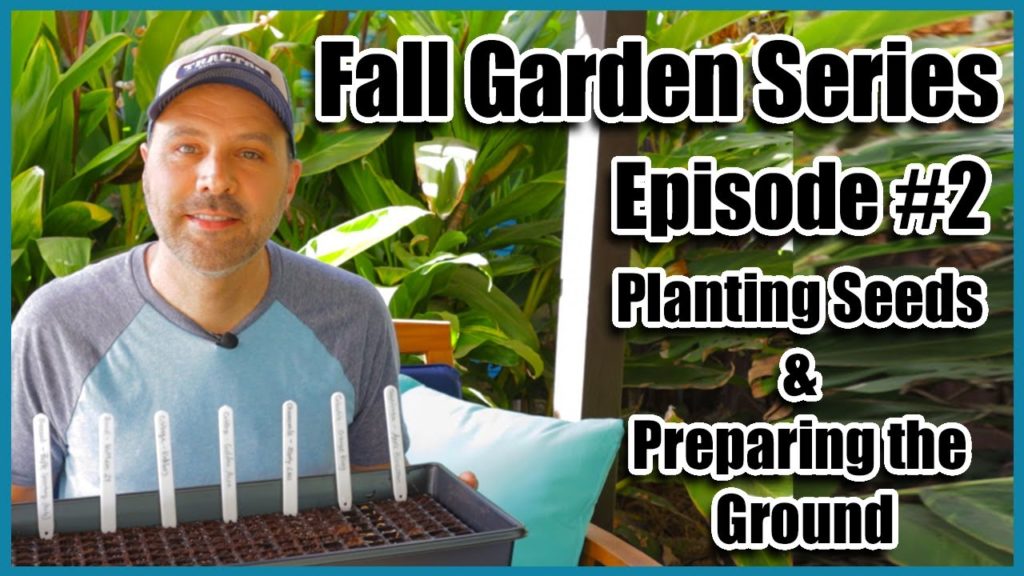 Fall Garden Series #2 - Planting Seeds and Preparing the Ground