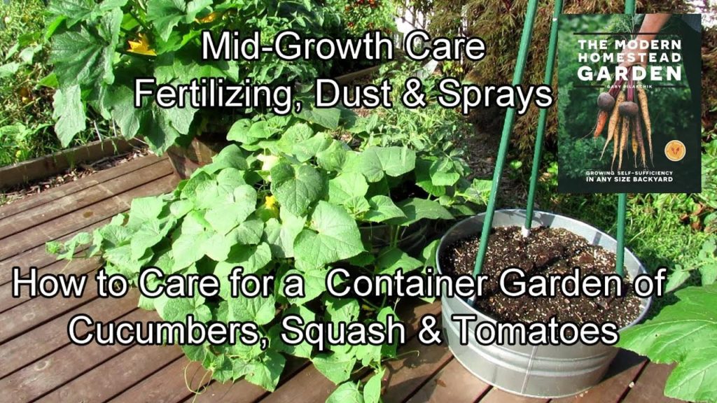 Gary Pilarchik: How to Care for a Container Garden of Cucumbers, Squash & Tomatoes: Fertilizers, Sprays & Pruning How to Care for a Container Garden of Cucumbers, Squash & Tomatoes: Fertilizers, Sprays & Pruning