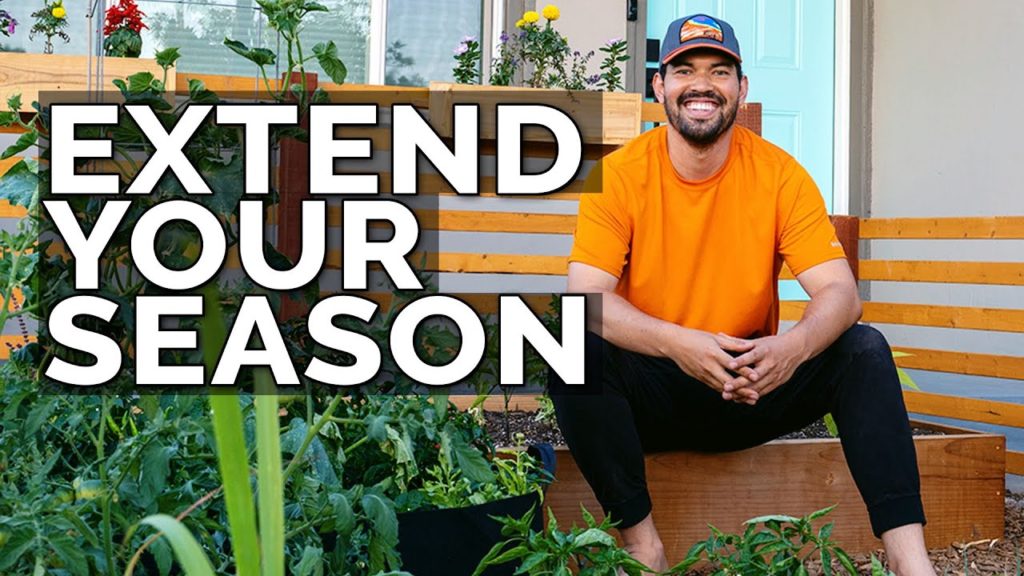 5 Ways to Harvest MORE From Your Late Summer Garden