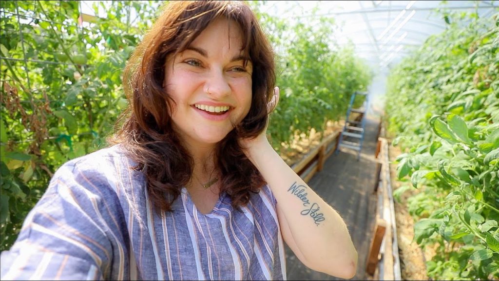 Roots and Refuge Farm: An evening harvest ( & Whats next for the high tunnel) | VLOG An evening harvest ( & Whats next for the high tunnel) | VLOG