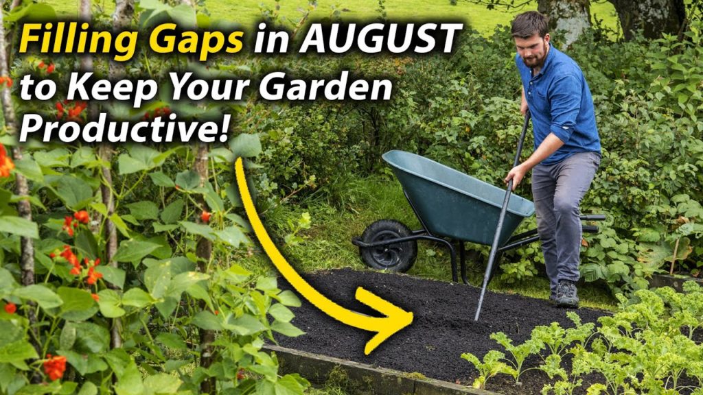 How to Best Fill Gaps in Raised Beds in August | Grow More Food & Build Healthier Soil