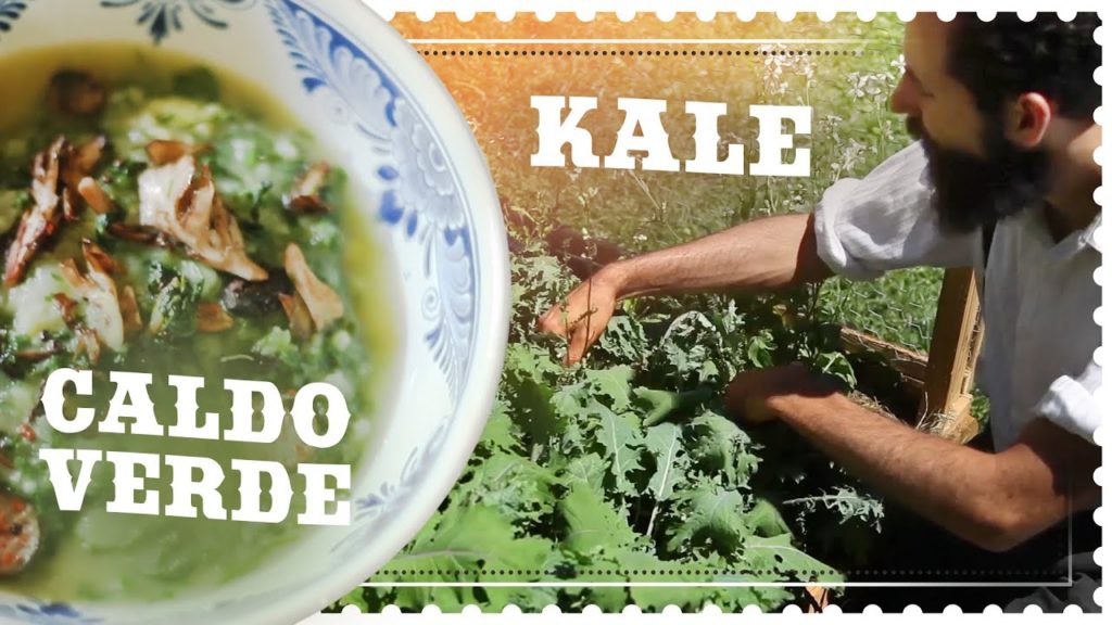 Siloé Oliveira: What to do with EXTRA KALE – Caldo Verde Recipe – Vegetarian What to do with EXTRA KALE - Caldo Verde Recipe - Vegetarian