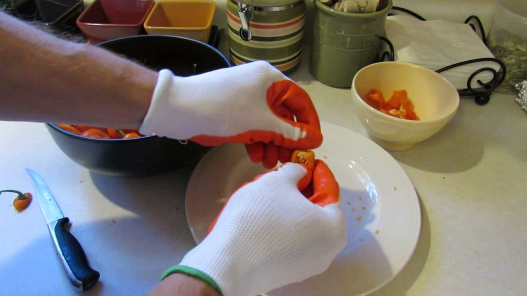 Collecting Pepper/Habanero Seeds: The Rusted Garden 2103