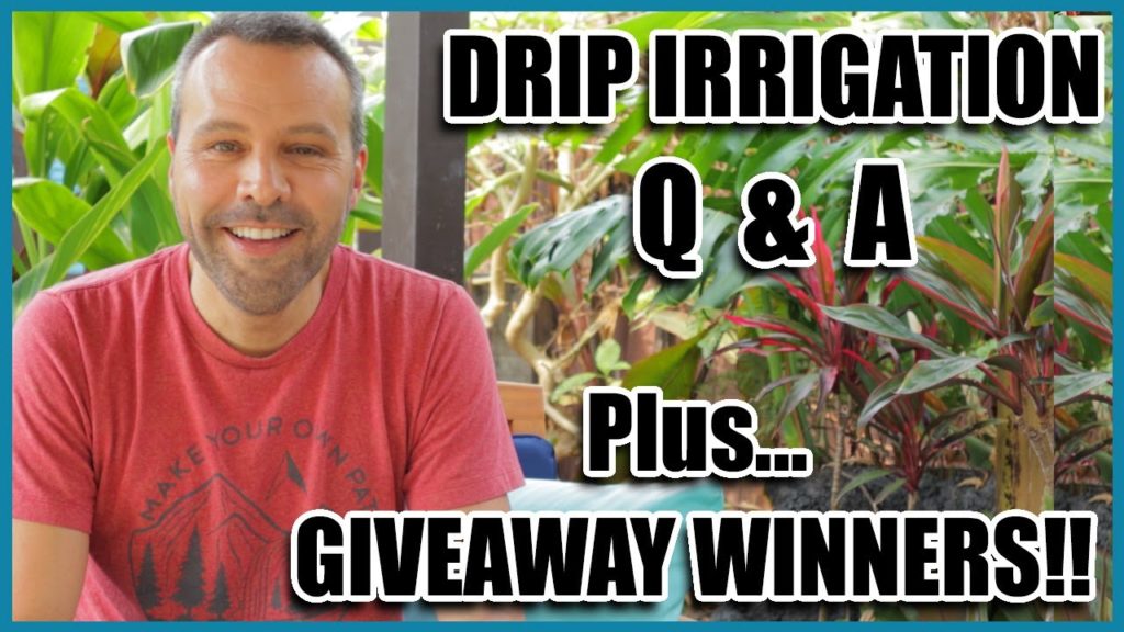 Drip Irrigation Q & A and ANNOUNCING GIVEAWAY WINNERS!!!