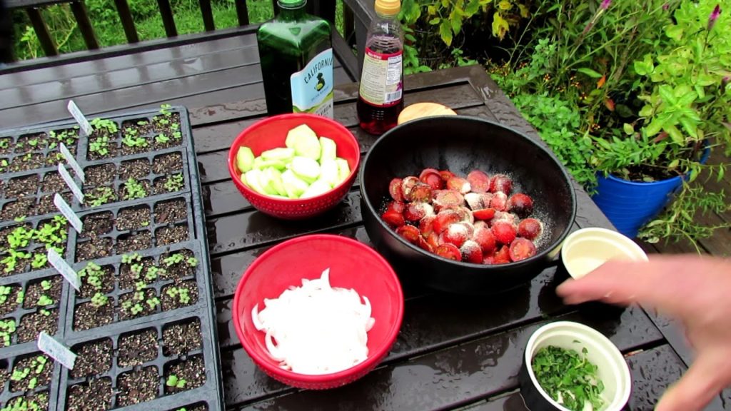 Complete Guide to Growing Cherry Tomatoes 5 of 5: Harvesting & My Tomato Salad Recipe
