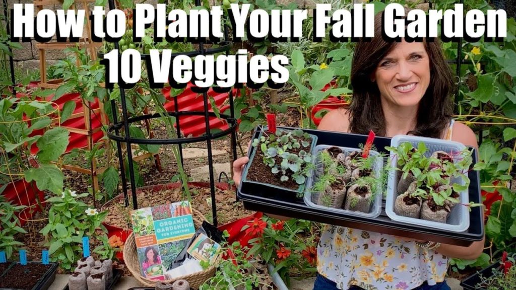 How to Start Seeds for Your Fall Garden - 10 Vegetables to Plant / Fall Garden Series #1 🍁🥦🍁🌿