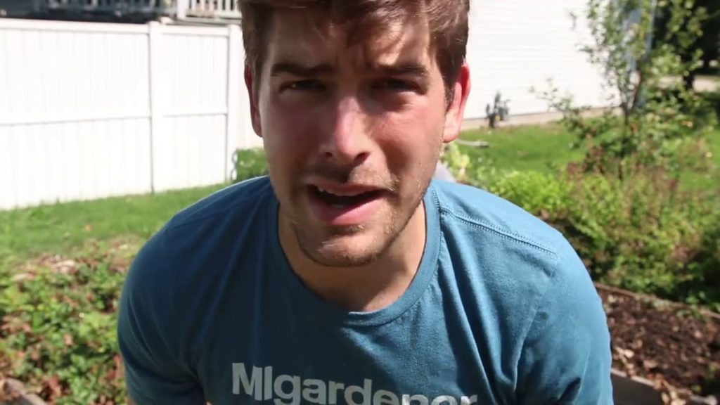 How and Why You Should Rotate Strawberry Beds (BIG Lesson Learned)